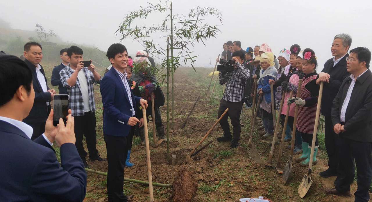 浙农林大：一根科技竹助力“绿水青山”转化为“金山银山”