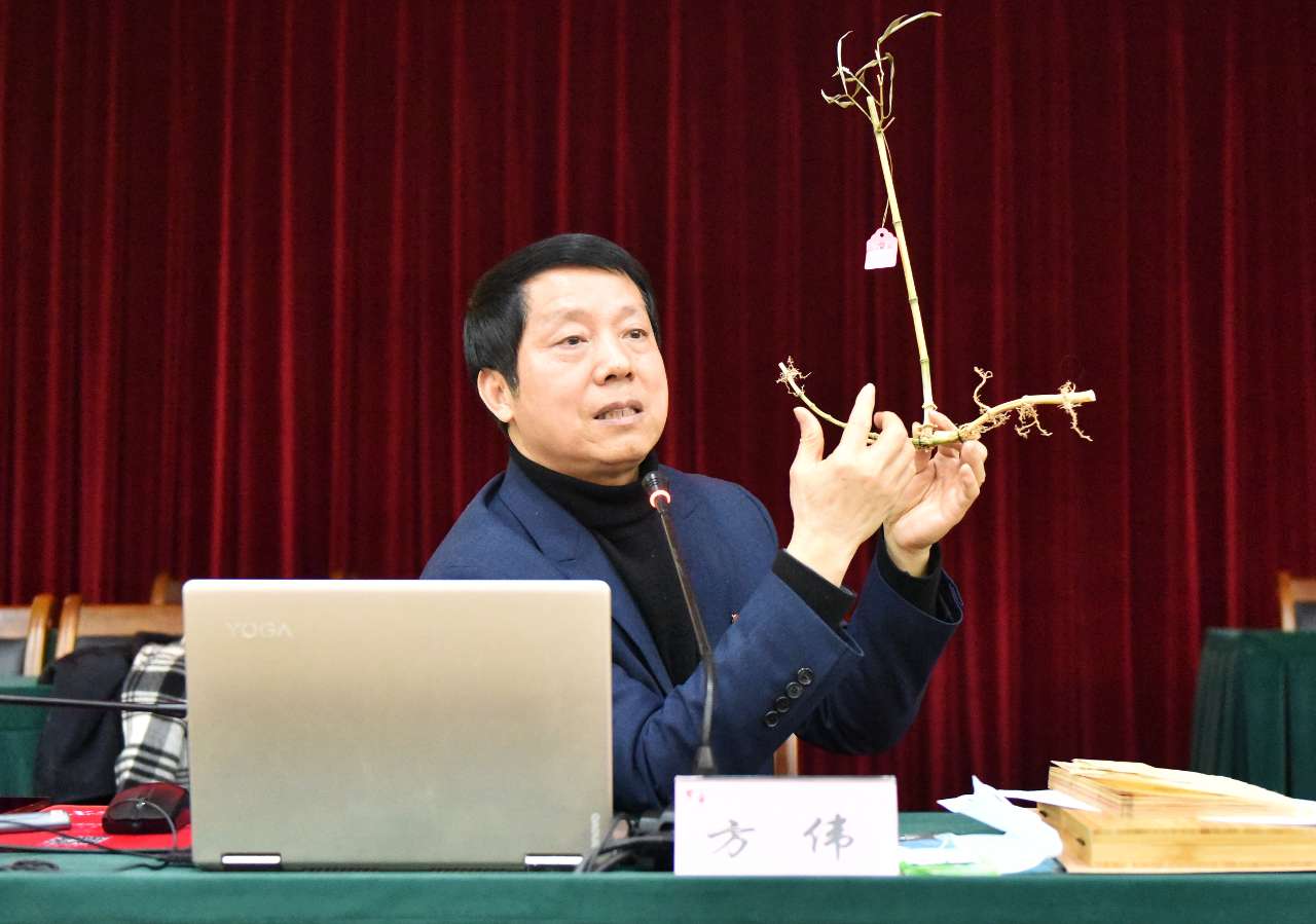 浙农林大：一根科技竹助力“绿水青山”转化为“金山银山”